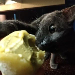 Meet your Posher, Jesica